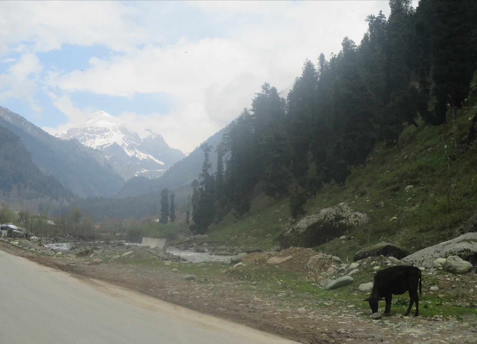 Rural Development programme
